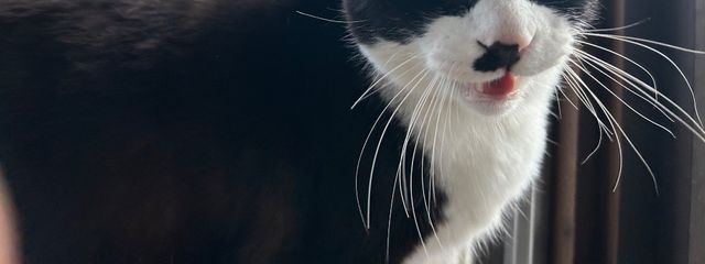 生たまごさんの壁紙画像
