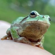 ユカタン半島 🫥 💭 ⛽️🥀 🌸💛さんのアイコン画像