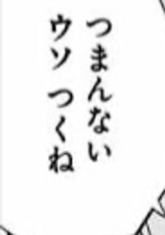  ボーダーの裏切り少女 。