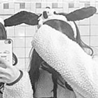 ふ ぅ・ ° @_GLLITさんのアイコン画像