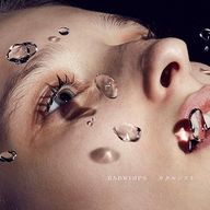 Rdさんのアイコン画像