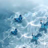 夏 川 兎 🫧さんのアイコン画像