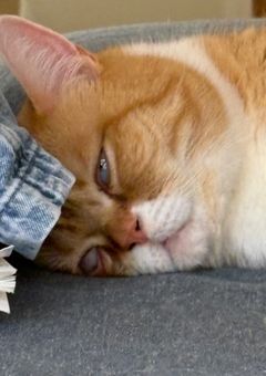 雑談 其の弐
