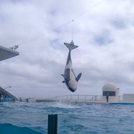 ユーザーページへ