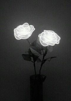 　#. The two backstage