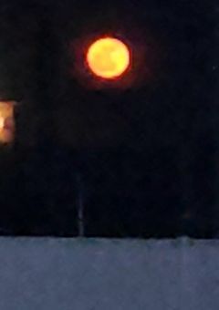 霧島三兄弟の末っ子は双子らしい