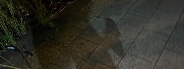 金髪ギャルさんの壁紙画像