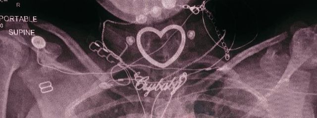 ひめさんの壁紙画像