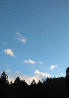 🅿️が出来るまで［友募もやってます］