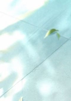 夢を目指して　募集中