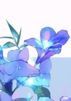 君に決めた!