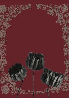 君の捧ぐ命に祝福を【 弾丸論破limited__99__ 】