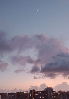 私がステージに立ち続ける理由  休載中