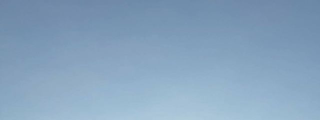 紫音さんの壁紙画像