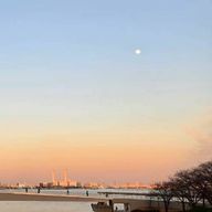 紫音さんのアイコン画像