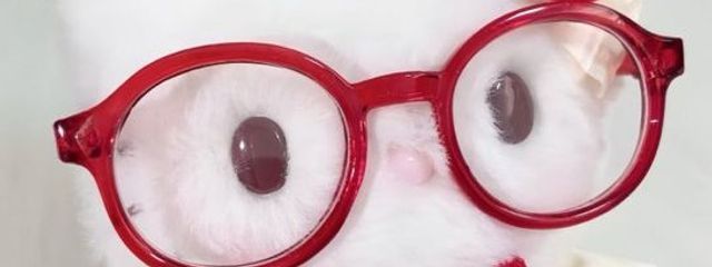 柚音  ふぉろばさんの壁紙画像