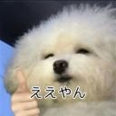 作者