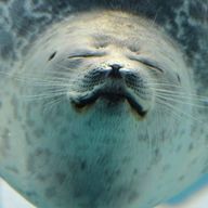 RINKAさんのアイコン画像