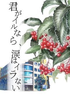 君がイルなら、涙はイラない