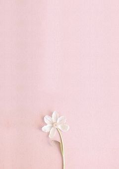 貴方の隣にふさわしい人