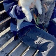 ぽち🐶🐾さんのアイコン画像