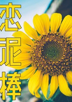 恋泥棒