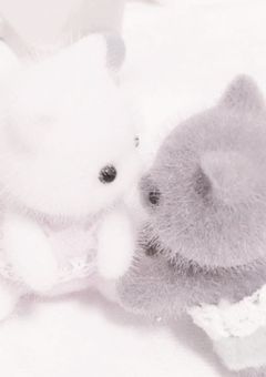 ♡ えんゔぃあすしんどろーむ ♡