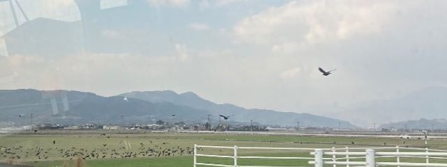 飼育員さんの壁紙画像