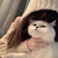  　@ 𝗬𝘂𝗸𝟭_𝗵𝗺さんのアイコン画像