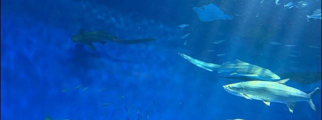 フロート.。o○(同界隈さんのみフォロバ100%)さんの壁紙画像