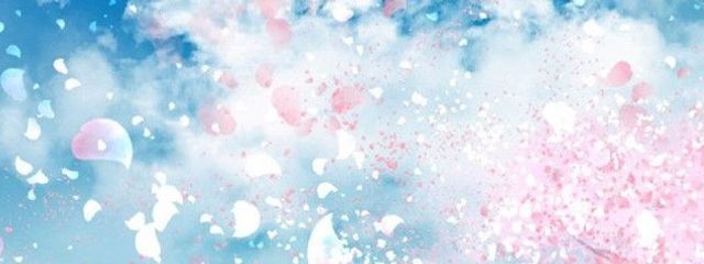 すず♂️♀️さんの壁紙画像