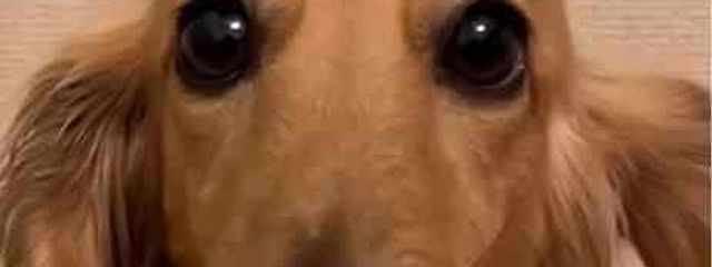 LEISEN9087さんの壁紙画像