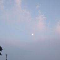 Suineさんのアイコン画像