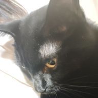 武田さんのアイコン画像