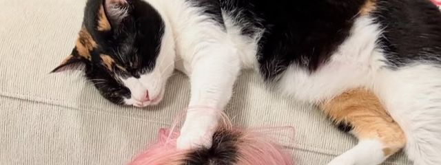 りつかさんの壁紙画像