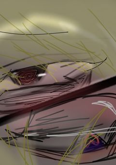 兄 弟 を 監 禁 し て や り ま し た ,