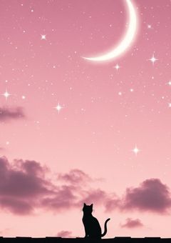 💫&💕返します!ෆ➰