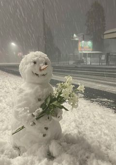 さよなら、わたしの9人の王子様 〜1年ごしのハッピーエンド〜