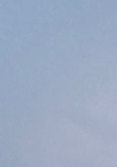 grの師匠、emの姉だそうで.