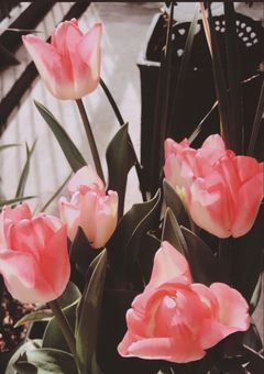 【 Njs4 】この車両は一方通行です