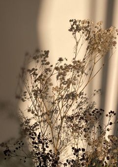 B L ど ら ま 短 編 .ᐟ .ᐟ