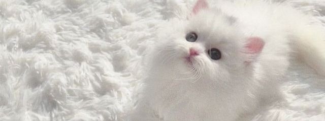 ゆなさんの壁紙画像