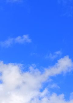 ヴィランの私はヒーローに保護される