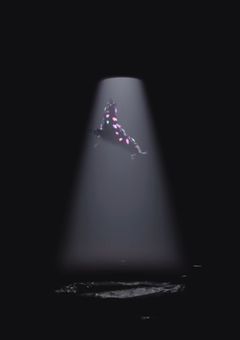 地下室から帰ってきました