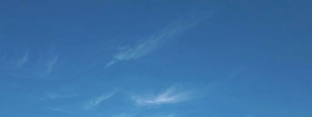 🧊🐚yua🎐🌿‬ 🧺🍒🫧さんの壁紙画像