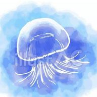 こらん🎀✨さんのアイコン画像