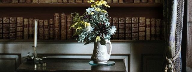 和音 （neko 好き）さんの壁紙画像