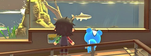 かるらあめさんの壁紙画像