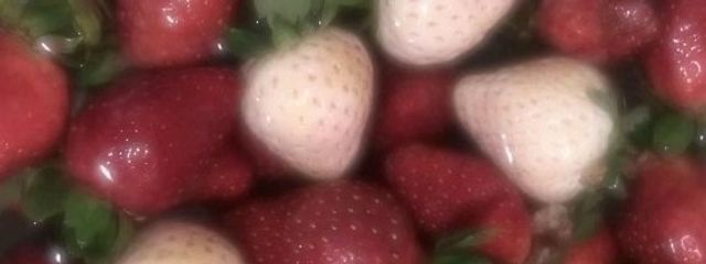 　　　✨︎ ' にみりさんの壁紙画像