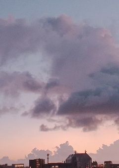 君の脳みその中へ